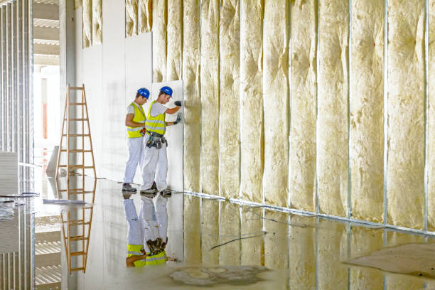 Best Insulation Maintenance and Repair in Crystal Falls, MI
